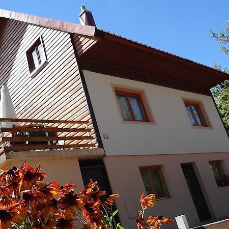 Guest House Milena Žabljak Eksteriør billede